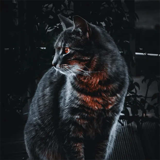 LordElias